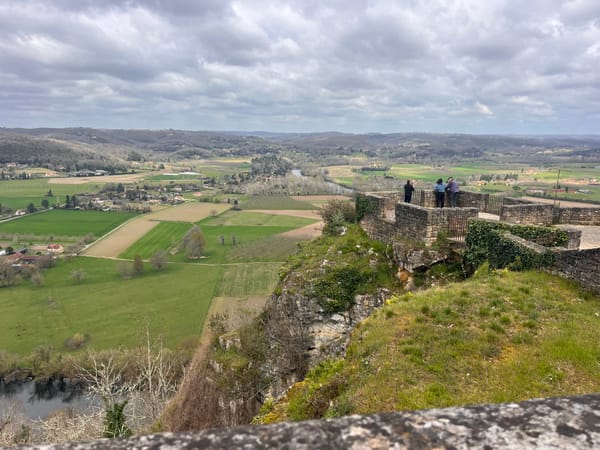 Medieval siege machines!